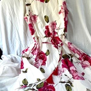 baileyblue  Brand. Raw beige Color With Brilliant Roses  Print  dress